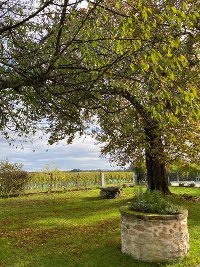 Barsac  Le Jardin Dans Les Vignes B&B 외부 사진