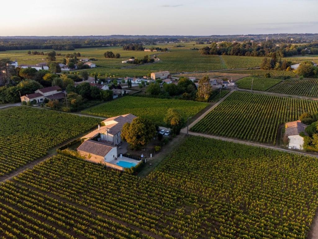 Barsac  Le Jardin Dans Les Vignes B&B 외부 사진